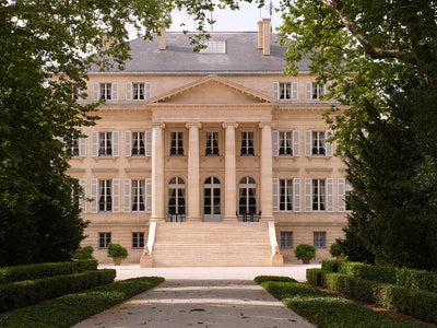 Bordeaux, France wine