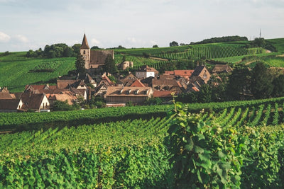 Burgundy, France wine