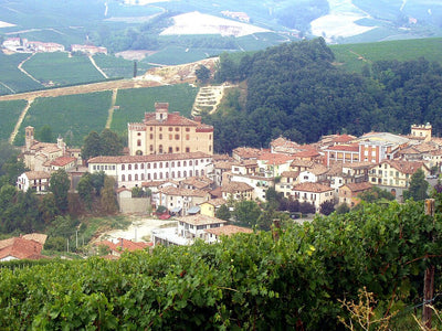 Piedmont, Italy wine