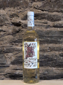 Bottle of Badajo Verdejo