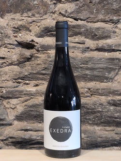 Bottle of Bodegas Puiggros Exedra Vi d'Amphora Negra