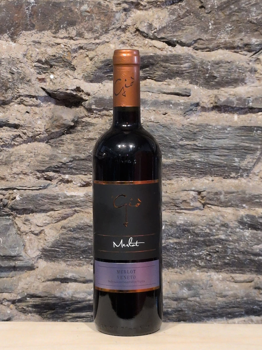 Bottle of Ponte Gio Merlot Veneto