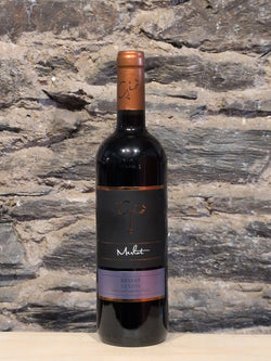 Bottle of Ponte Gio Merlot Veneto