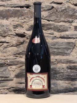 Bottle of Couly-Dutheil Clos de L'Echo Chinon (Magnum)