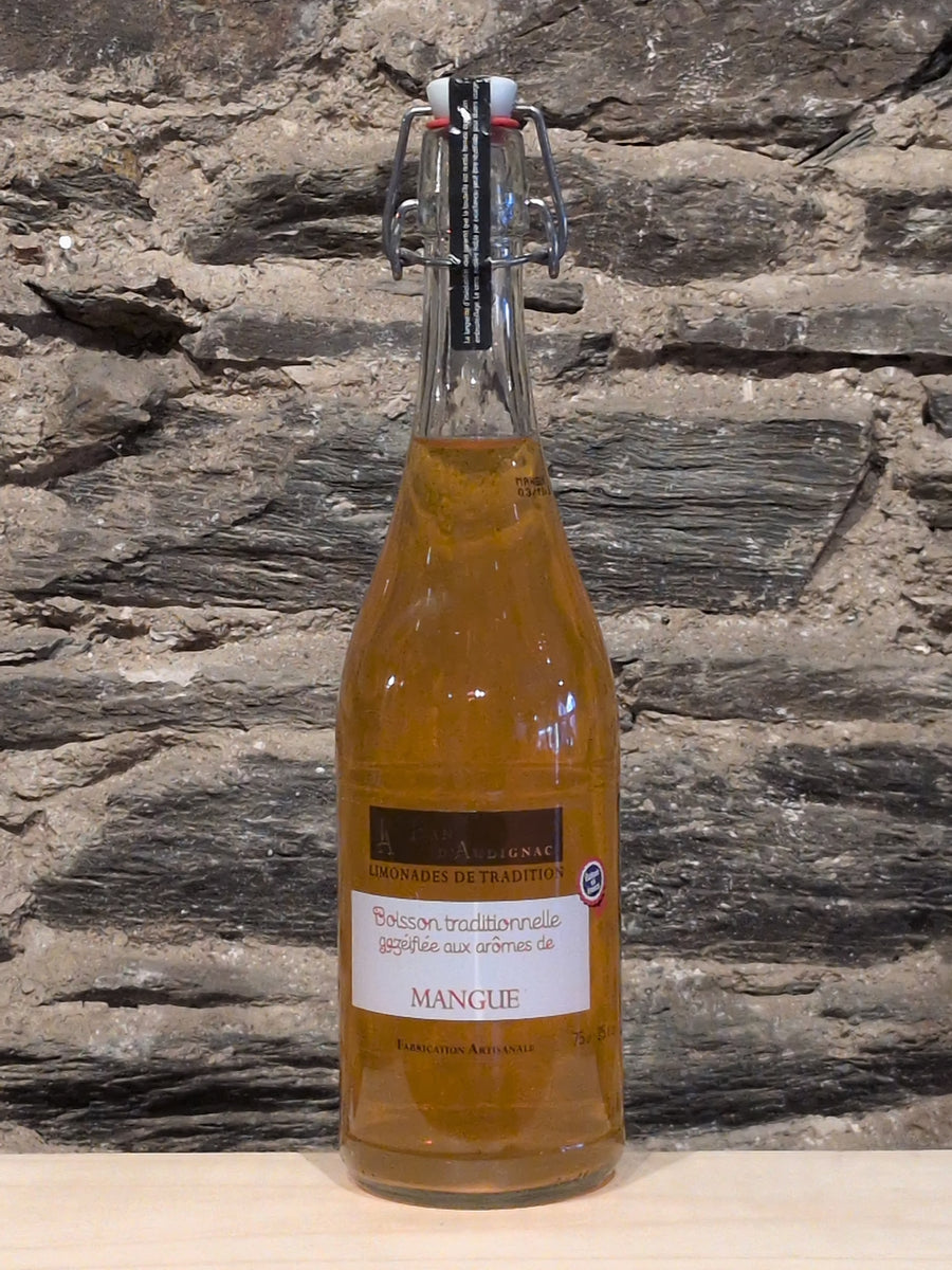 Artisanal Mango Lemonade