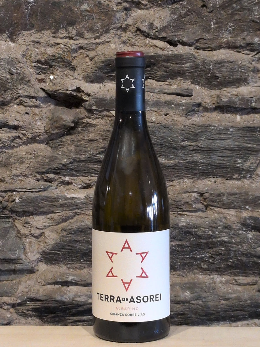 Bottle of Terra de Asorei Albarino