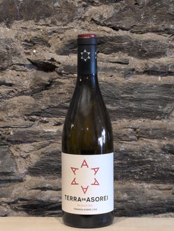 Bottle of Terra de Asorei Albarino