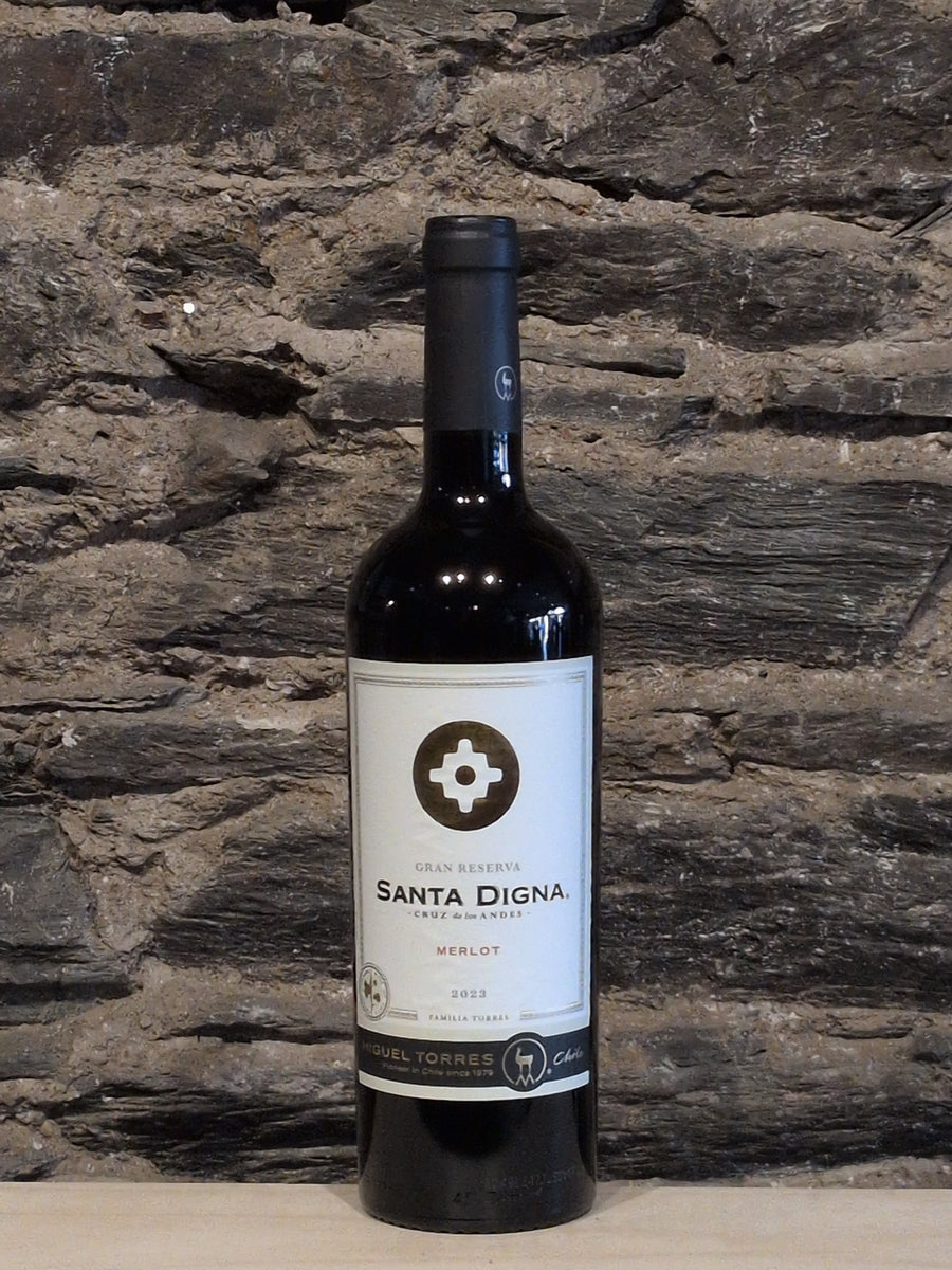 Bottle of Santa Digna Merlot Gran Reserva