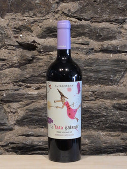 Bottle of La Fata Galanti Terre Siciliane IGT