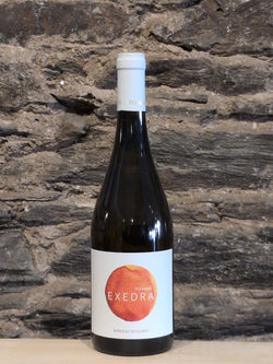 Bottle of Bodegas Puiggros Exedra Vi d'Amphora Blanca